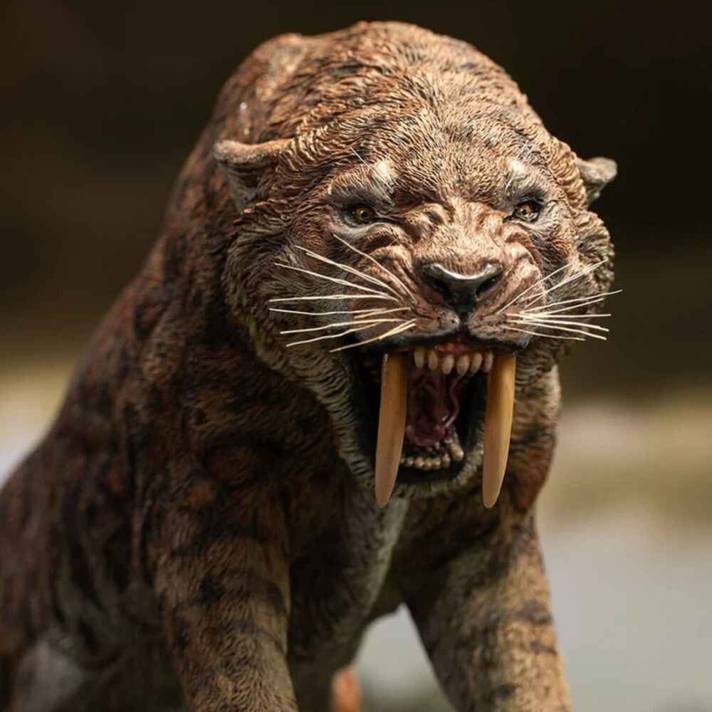 Wonders of the Wild Series - Smilodon Statue COLLECTIBLES